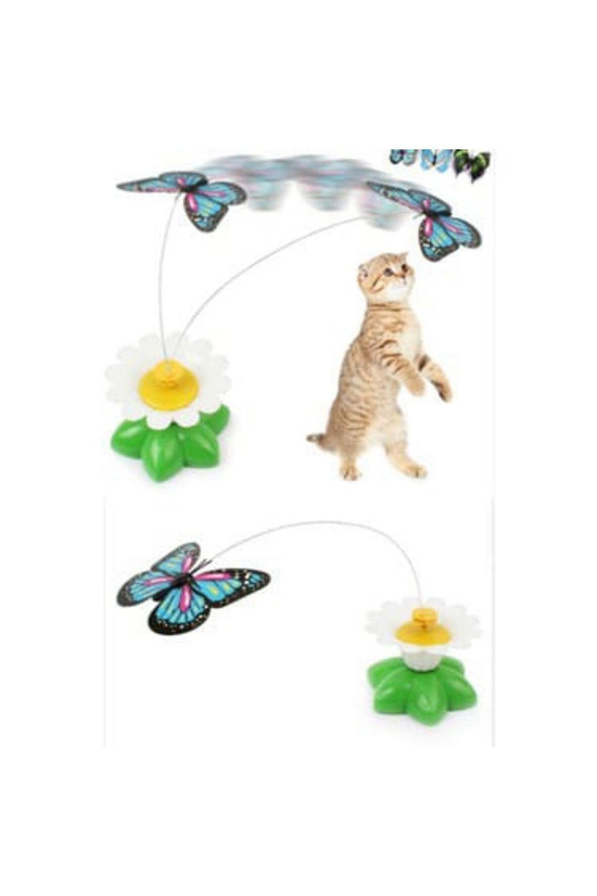 GreenPet Pilli Dönen Kelebek Kedi Oyuncağı