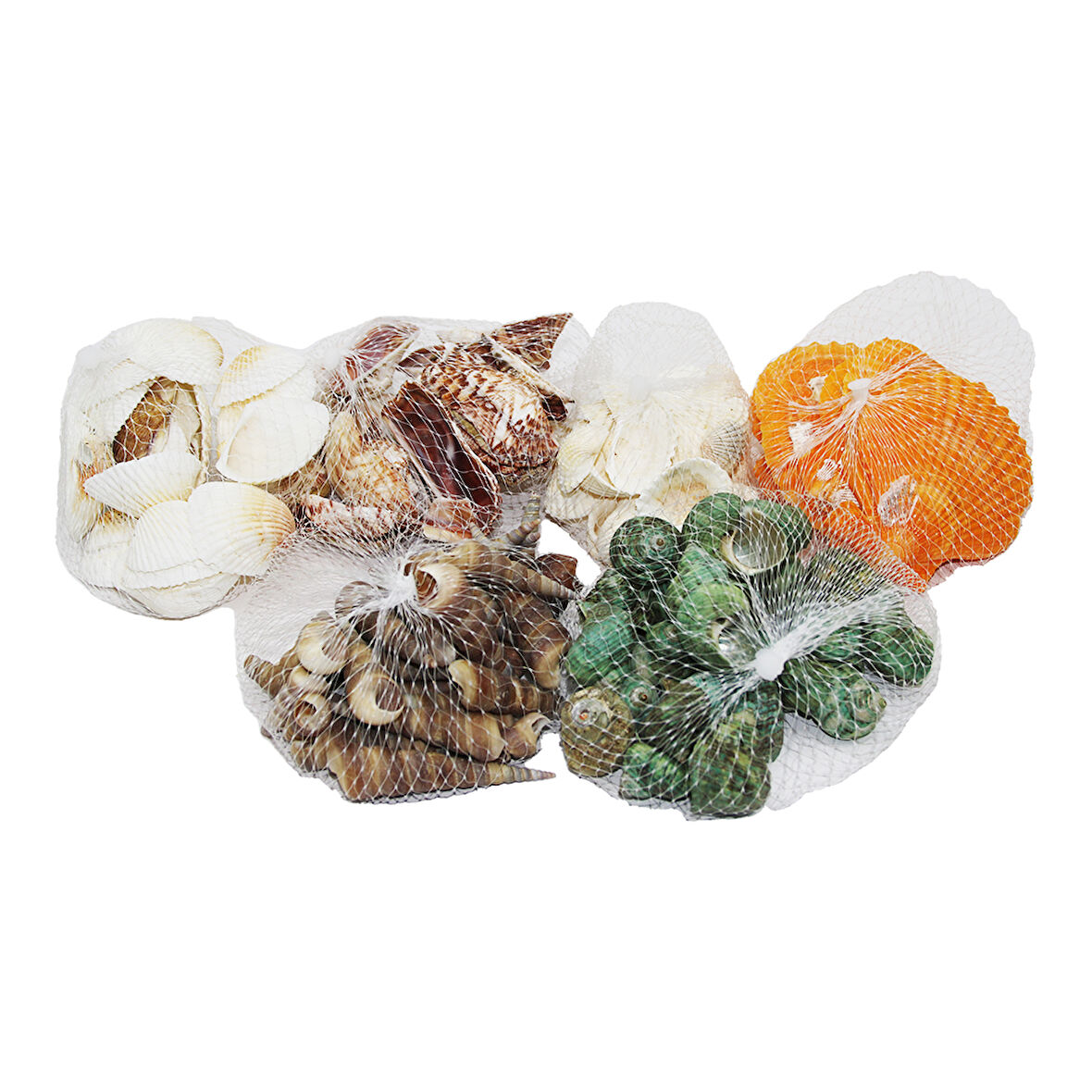 FİLELİ MİDYE DENİZ KABUK VAZO TAŞI RENKLİ MİX (5256)