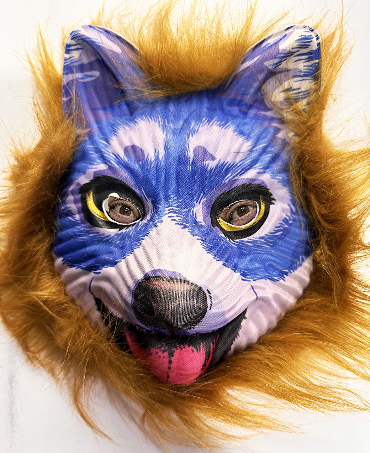 Kahverengi Saçlı Mavi Yüz Sevimli Köpek Maskesi 30 No (5263)