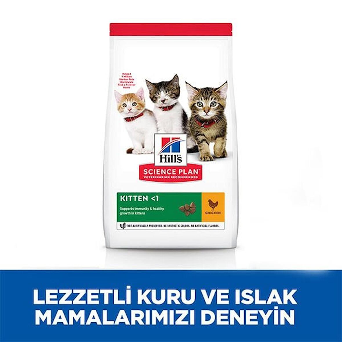 Hills Kitten Tavuklu Yavru Kedi Maması 1,5  Kg