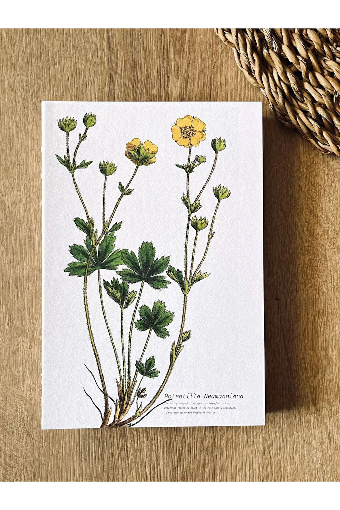 Özel Tasarım Kapaklı A5 Enzo Çizgisiz Defter - 180 Derece Açılabilir, El Işçiliği