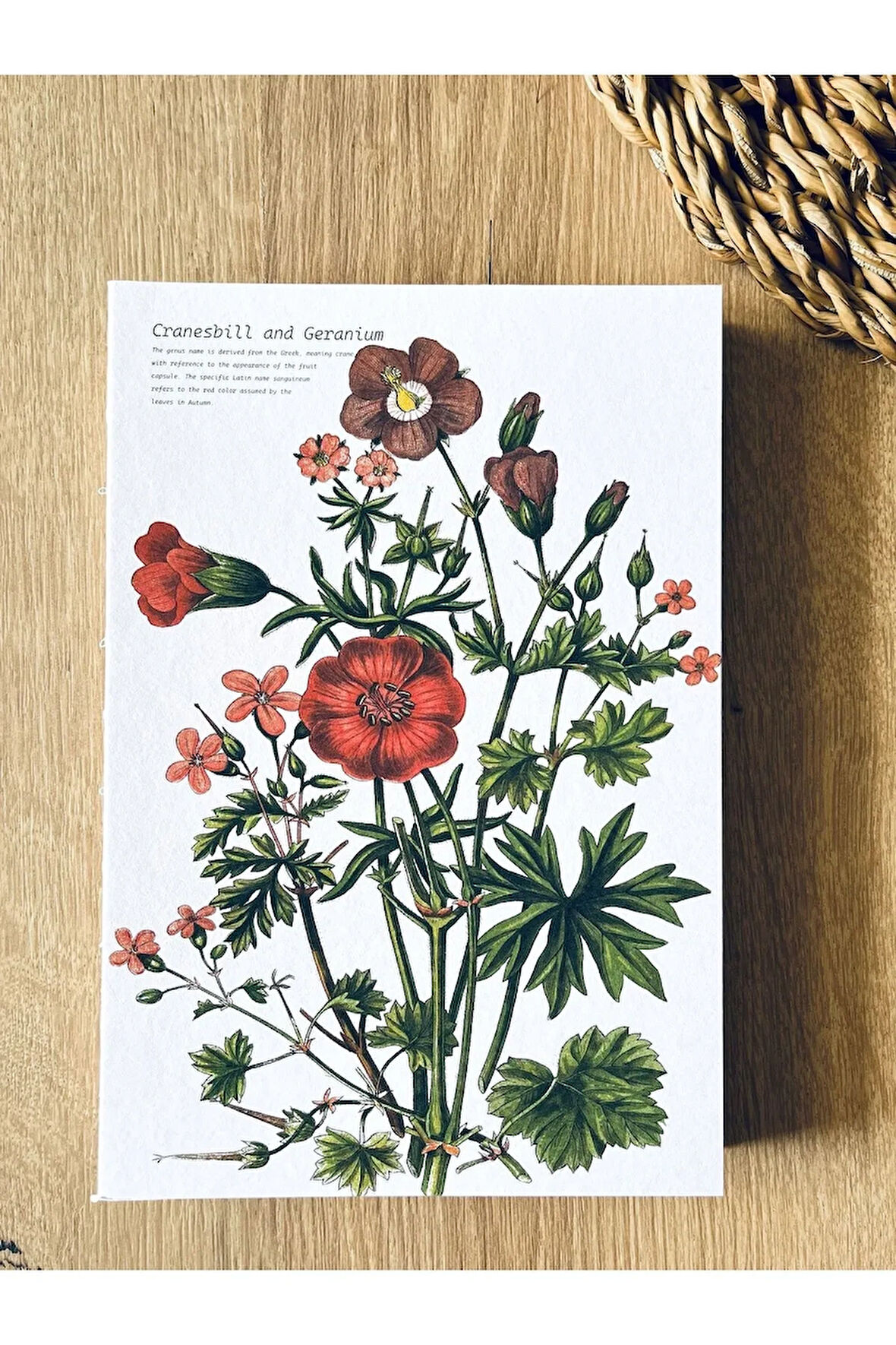 Özel Tasarım Kapaklı A5 Enzo Çizgisiz Defter - 180 Derece Açılabilir