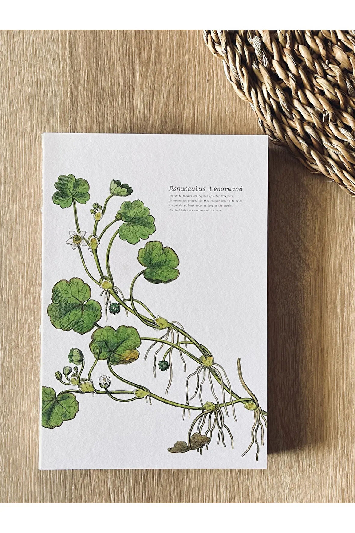 Özel Tasarım Kapaklı A5 Enzo Kareli Defter - 180 Derece Açılabilir, %100 El Işçiliği