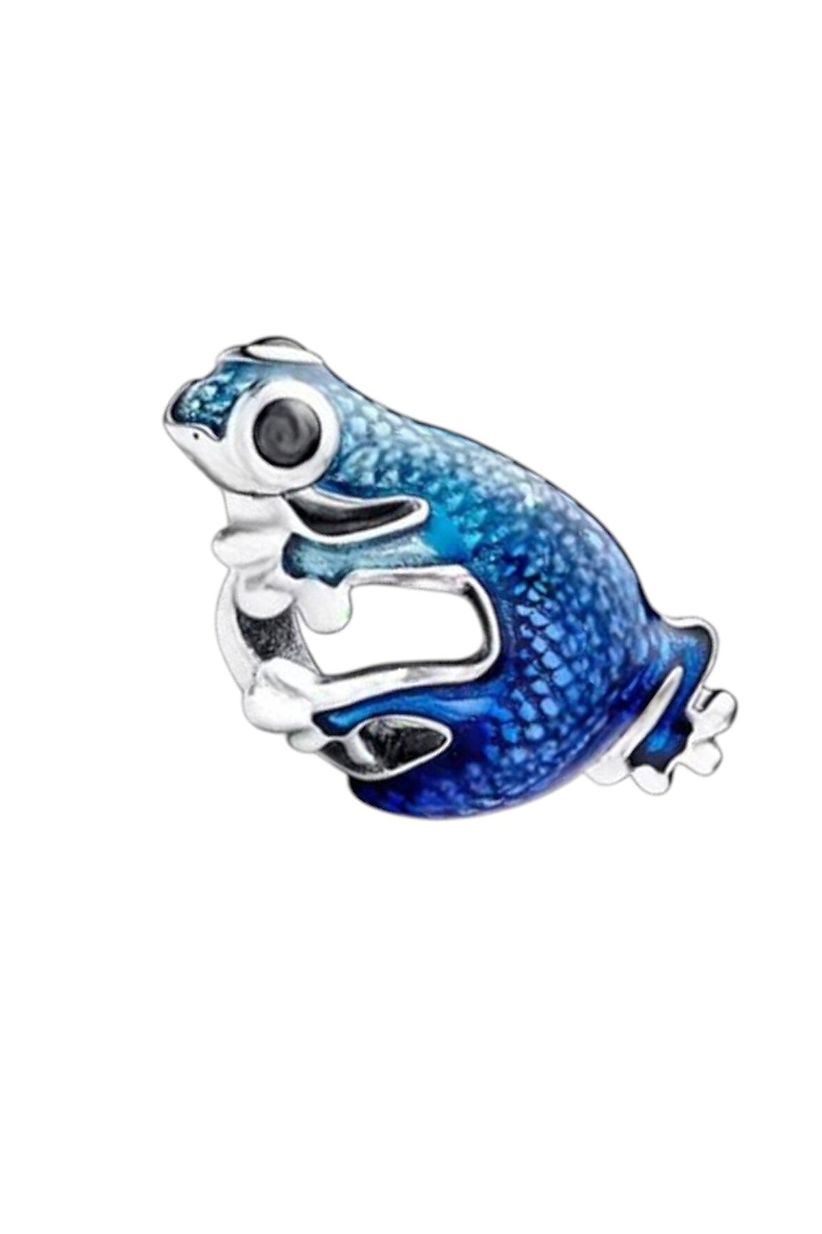 Renk Geçişli Geko Charm | 925 Ayar Gümüş