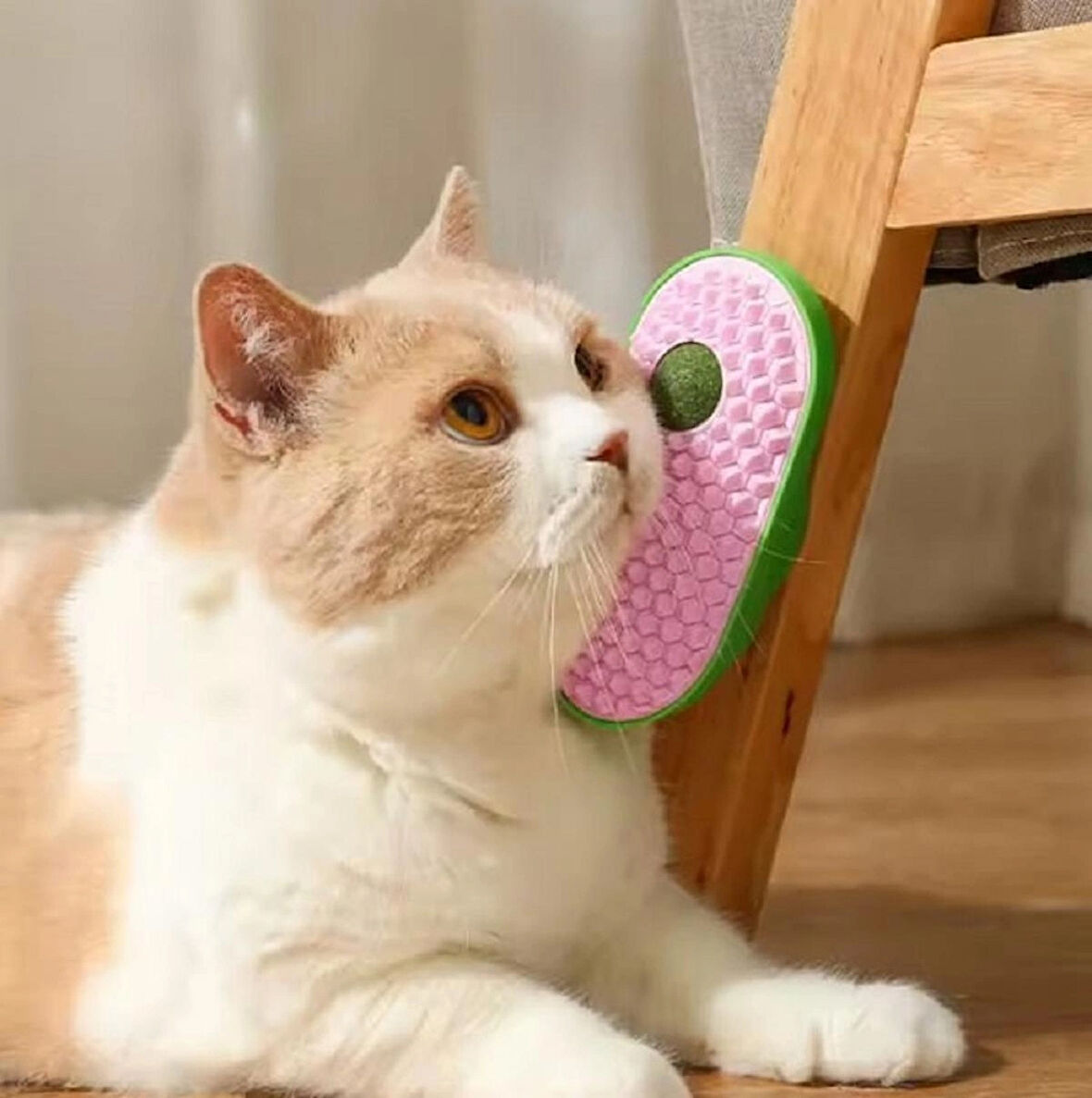 CATNİP TOPLU KEDİ KAŞINMA APARATI