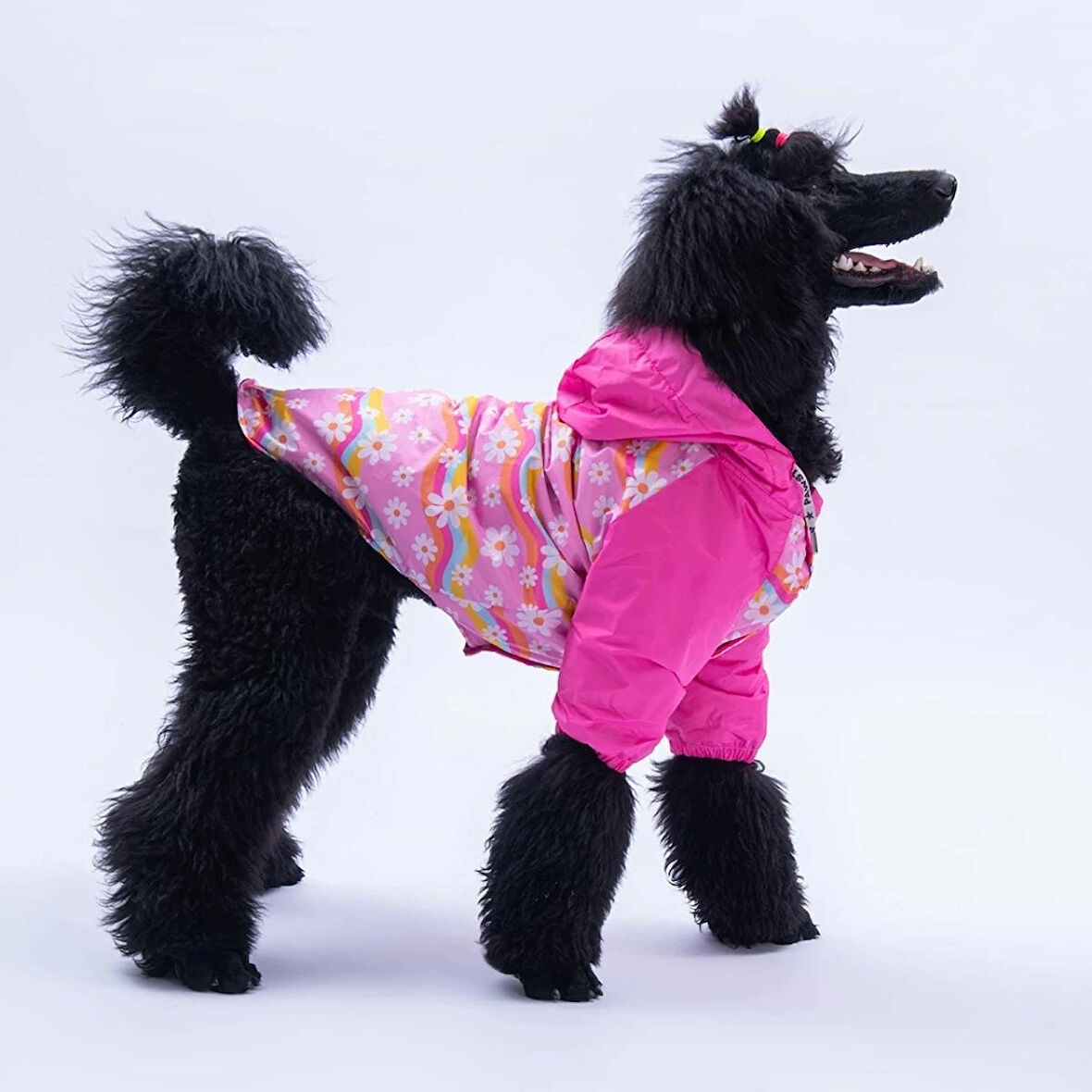 Florence Daisy Kedi Köpek Polarlı Yağmurluk