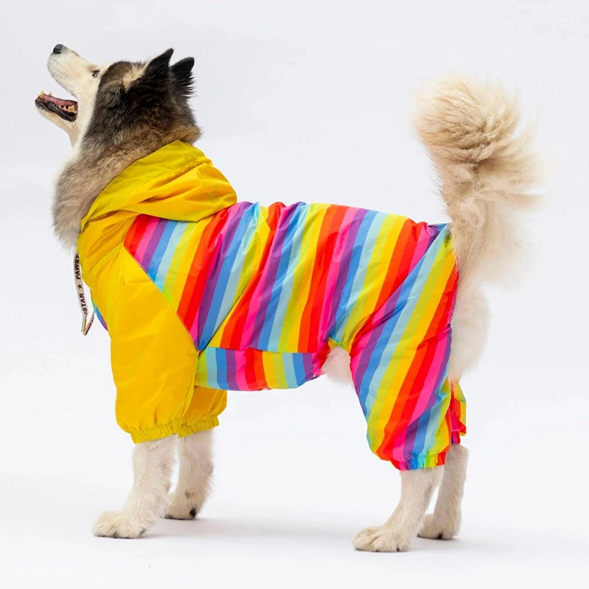 Peru Büyük Irk Köpek Tulum Yağmurluk