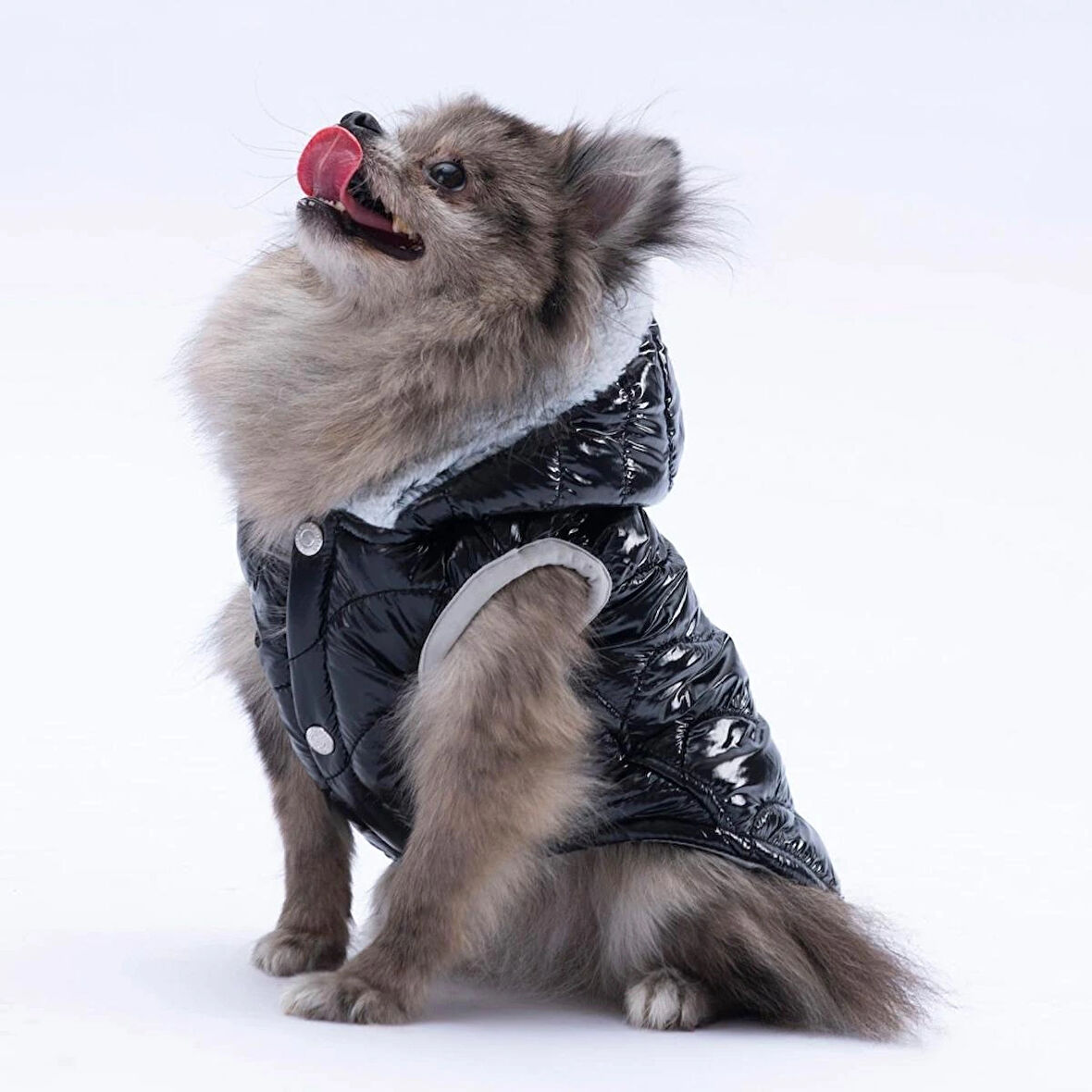 Light Wave Kedi Köpek Yelek Siyah