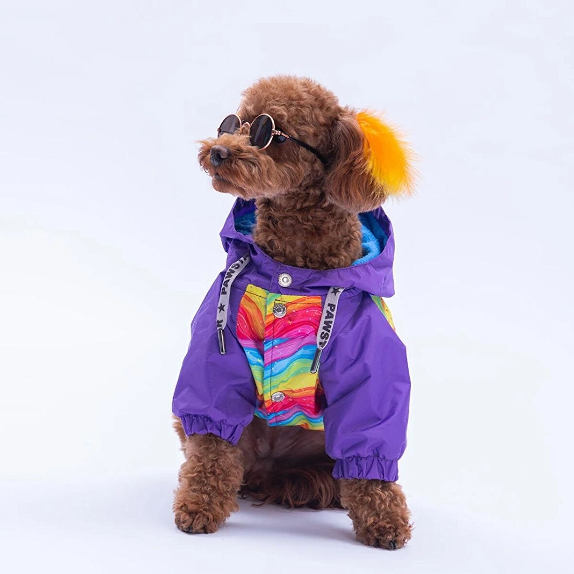 Rio Rainbow Polarlı Kedi Köpek Yağmurluk