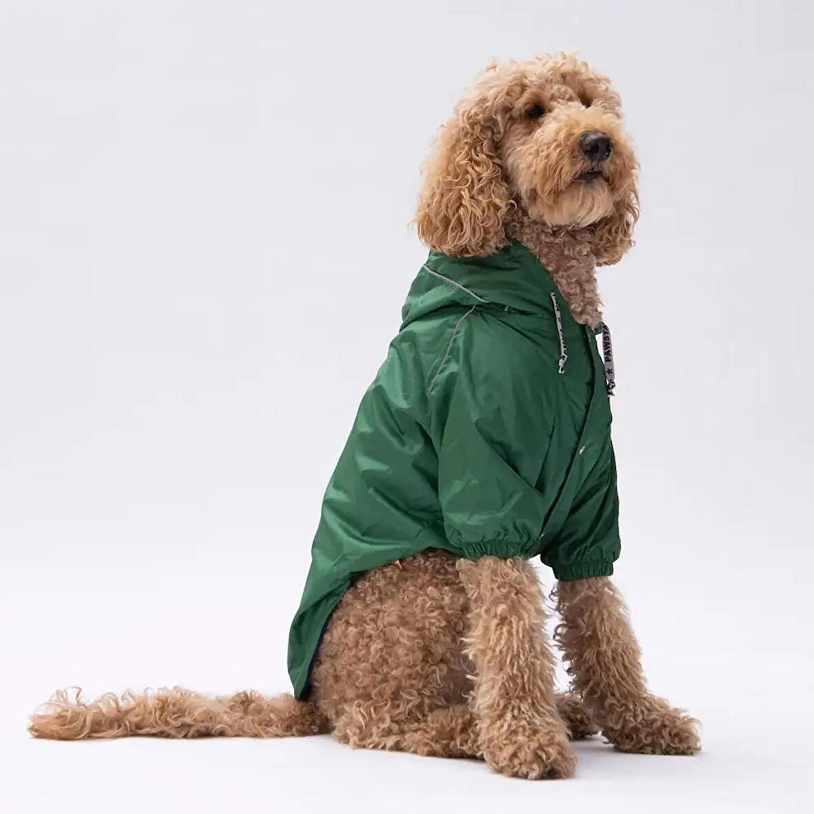  Pluvia Büyük Irk Köpek Yağmurluk