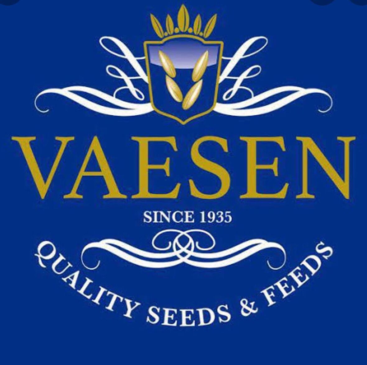 Vaesen SAKA YEMİ 0242 Yabani Sağlık Tohumu 15 Kg