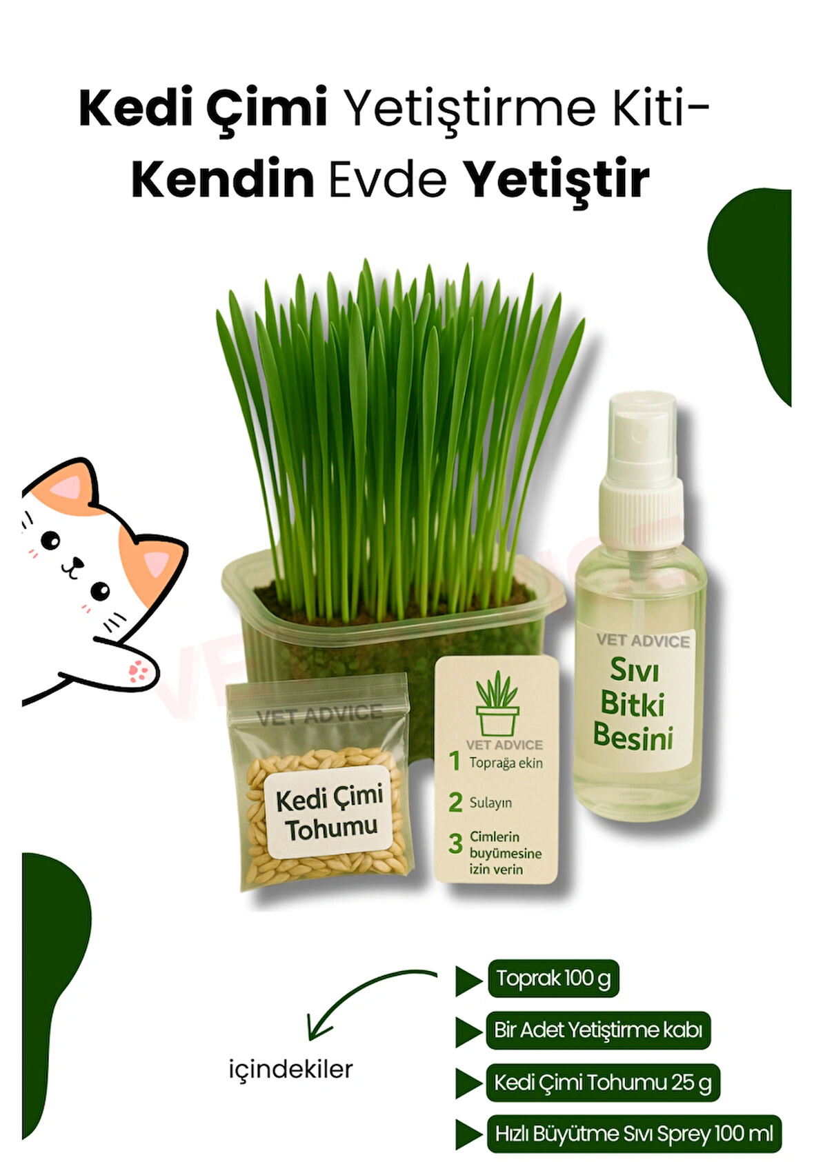 Kedi Otu Çimi Kiti – Evde Yetiştir, Pratik ve Eğlenceli Set 4 Parça 