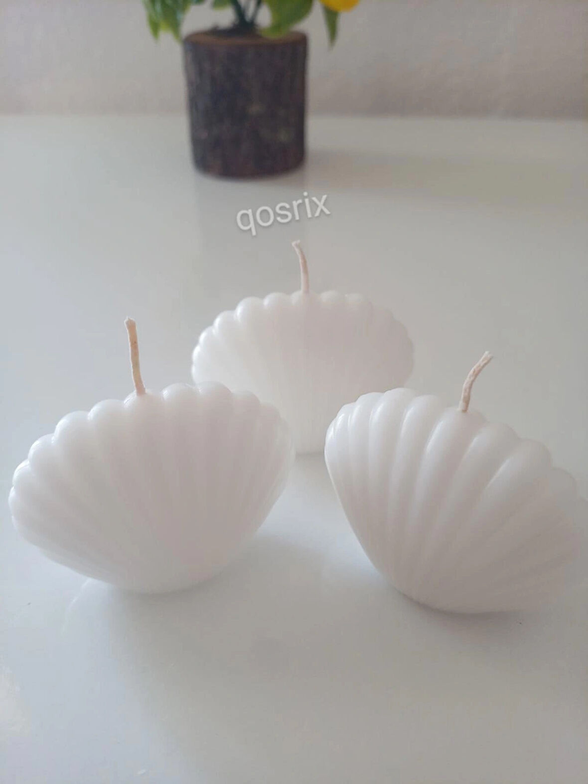 3'lü Beyaz Mini Istiridye Deniz Kabuğu 1. Kalite Soya Doğal Vanilya Kokulu Mum Dekoratif