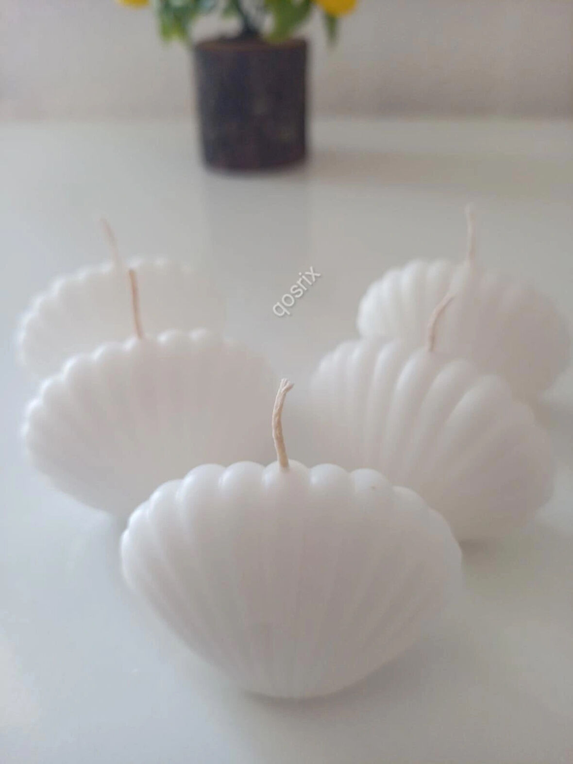 5'li Beyaz Mini Istiridye Deniz Kabuğu 1. Kalite Soya Doğal Vanilya Kokulu Mum Dekoratif