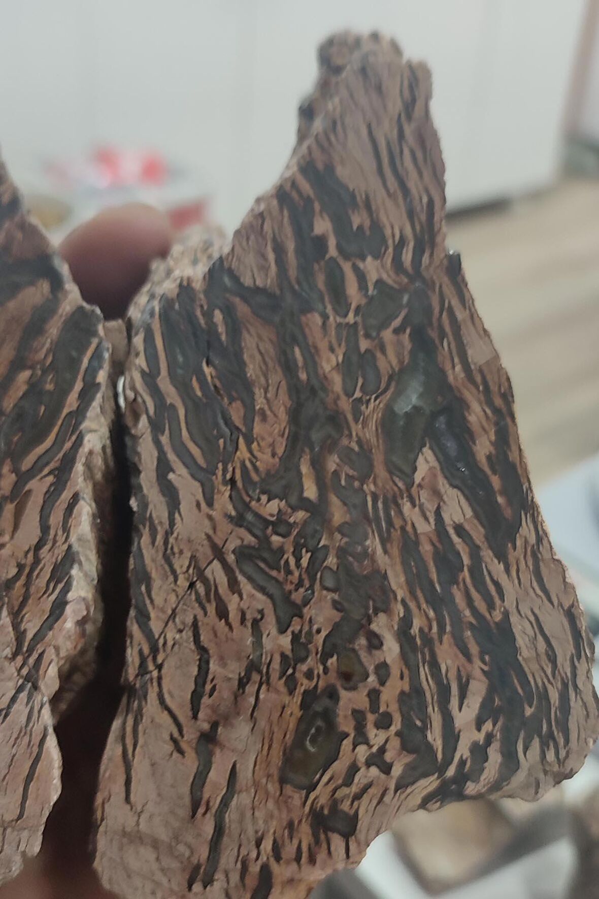 Ağaç Fosili Agate Stone Çift Koleksiyonluk Parça 1095 gr