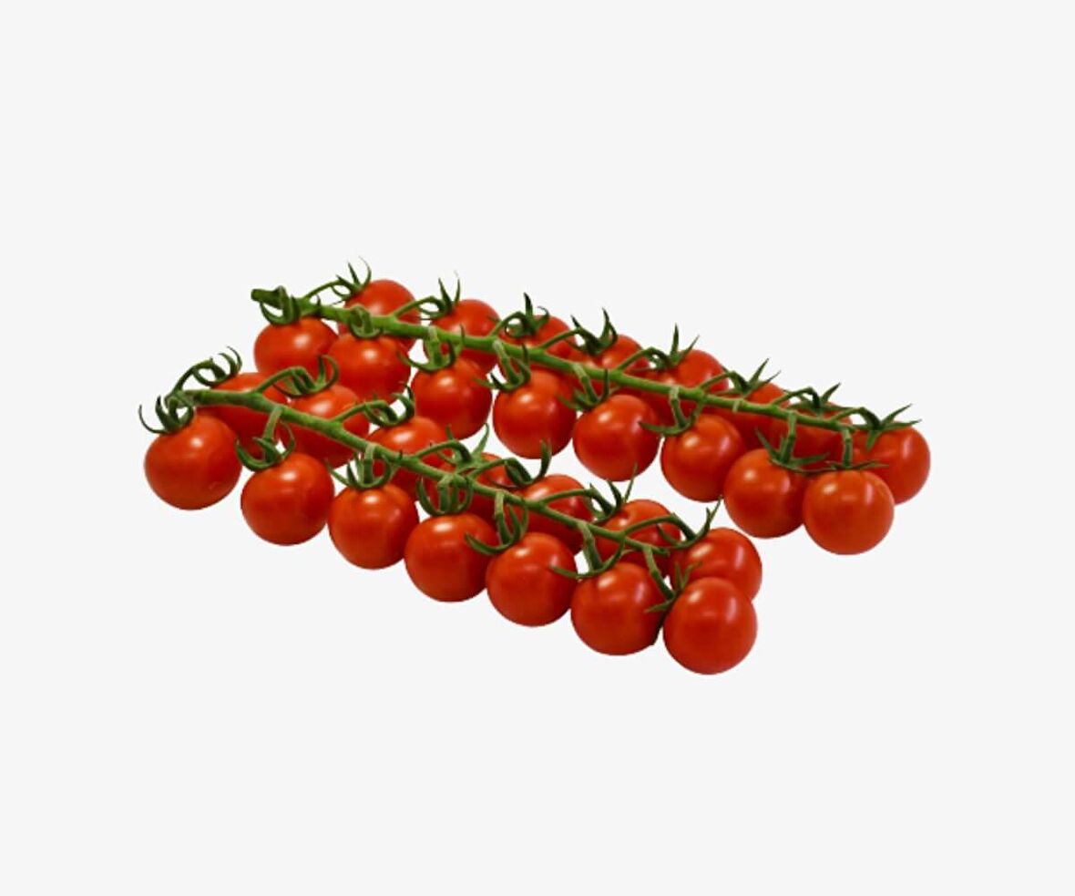 1000 adet ithal F1 çeri Sofralık Oturak Domates Tohumu....