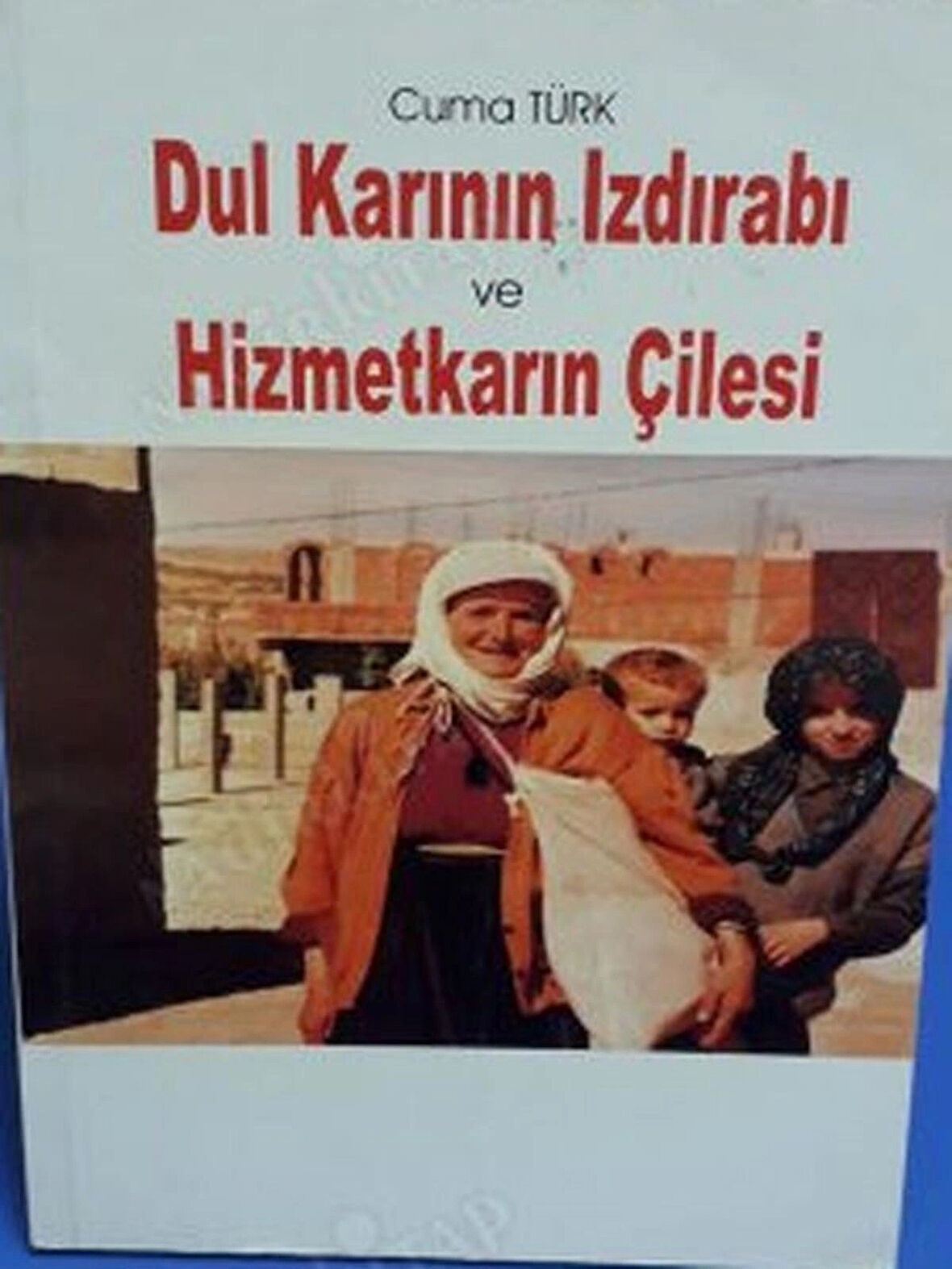 DUL KARININ IZDIRABI VE HİZMETKARIN ÇİLESİ Can Yayınları (Ali Adil Atalay) Cuma TÜRK