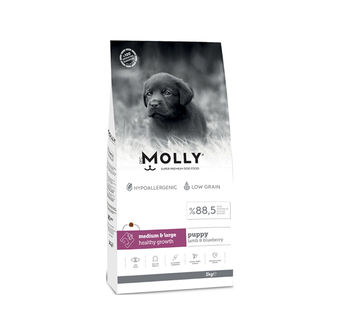 Molly Medium Puppy Kuzu Etli & Yaban Mersinli Orta ve Büyük Irk Yavru Köpek Maması 2 Kg