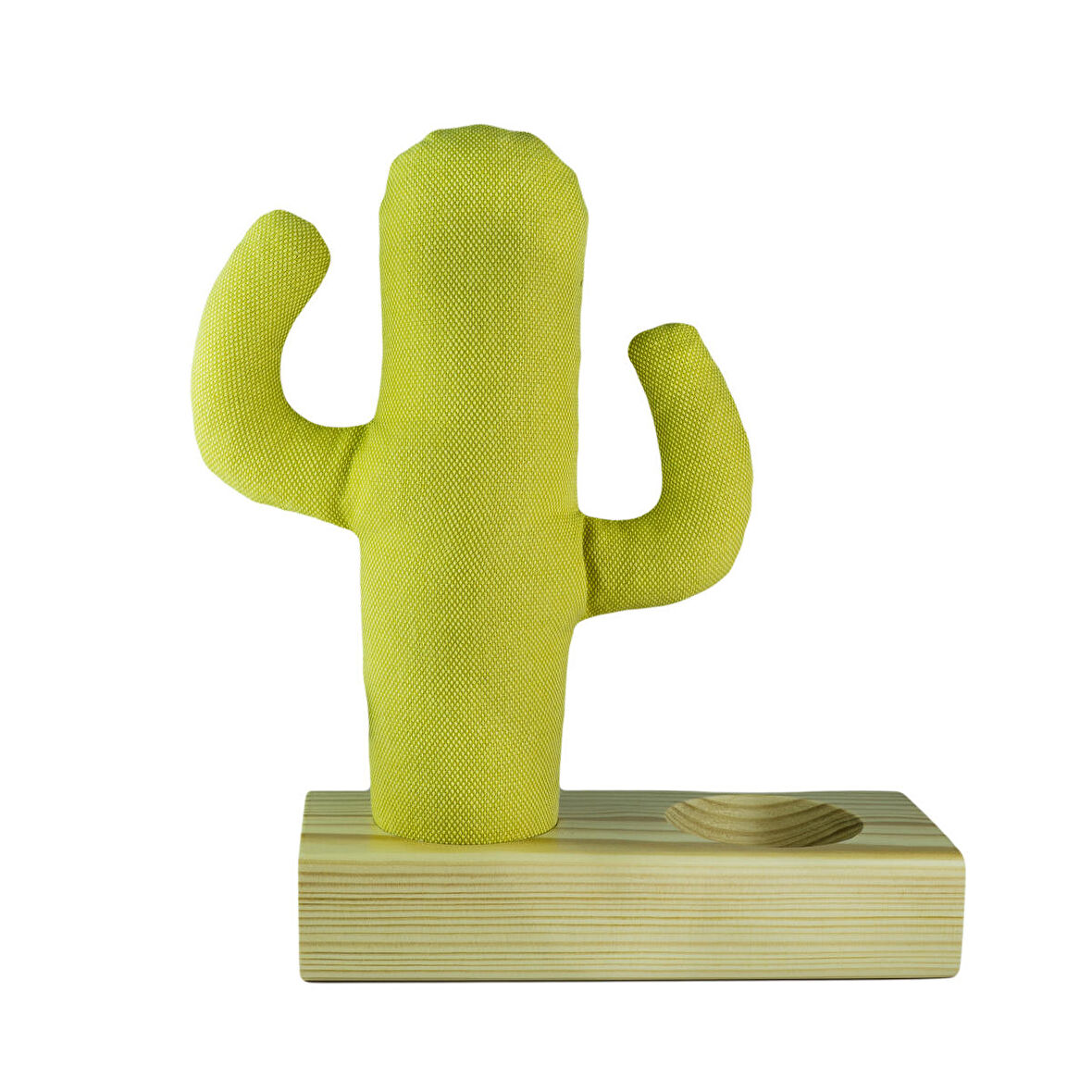 Kayigo Cactus XL + Station Organizer