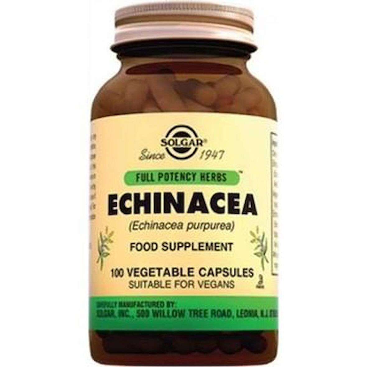 Solgar Echinacea 100 Kapsül