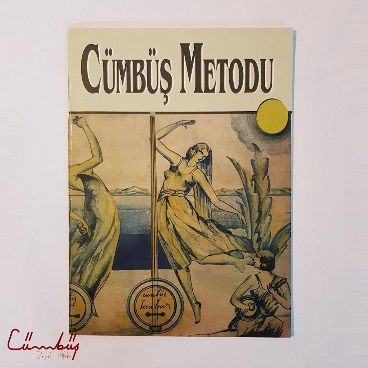 ZACY-001 CÜMBÜŞ METODU