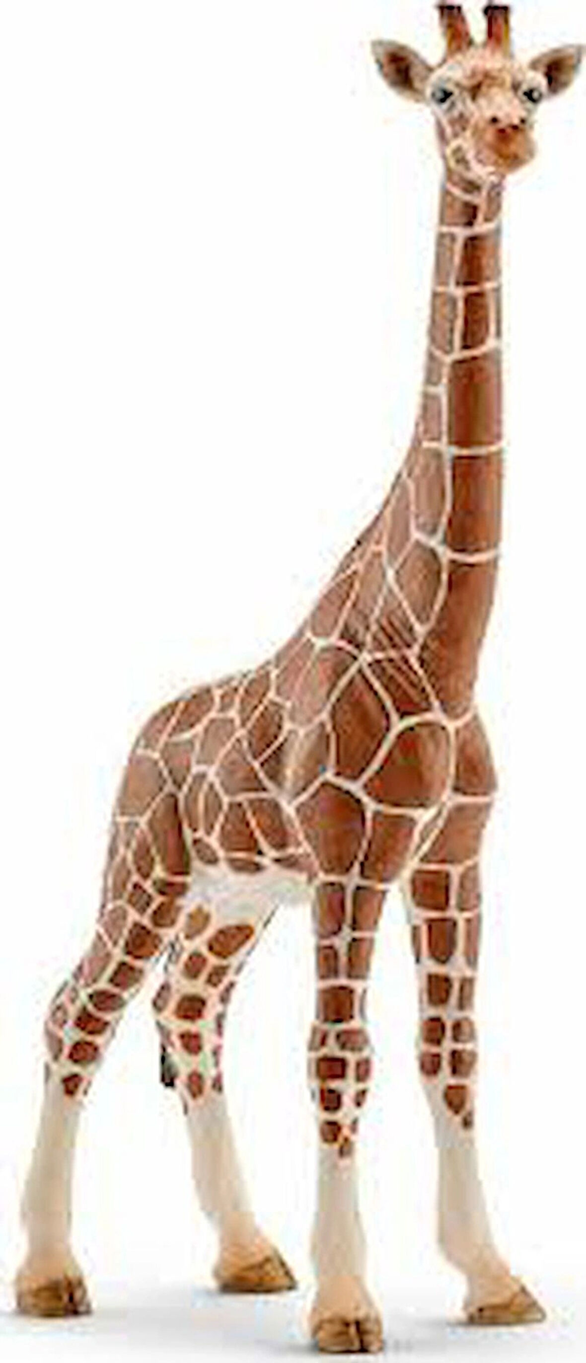 Schleich Dişi Zürafa 14750 Hayvan Figürü