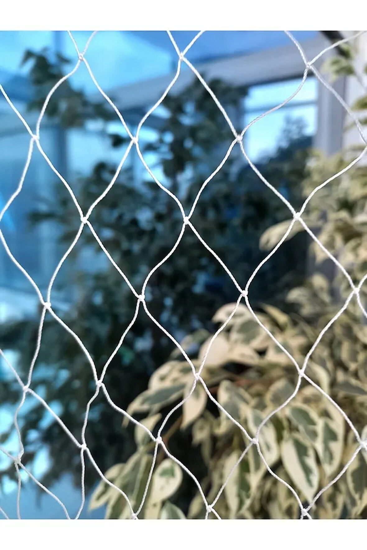 Kuş Filesi 2,5x50 Metre Kuş Ağı Balkon Ağı Kedi Filesi Balkon Filesi Güvercin Kuş Önleme Filesi