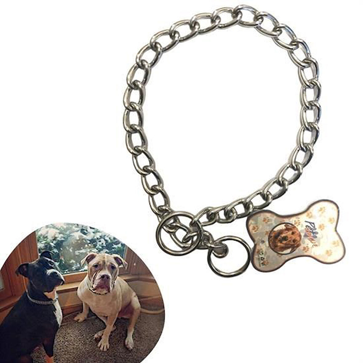 Evyora® 65 cm Uzunlukta Zincir Model Köpek İçin Boyun Tasması