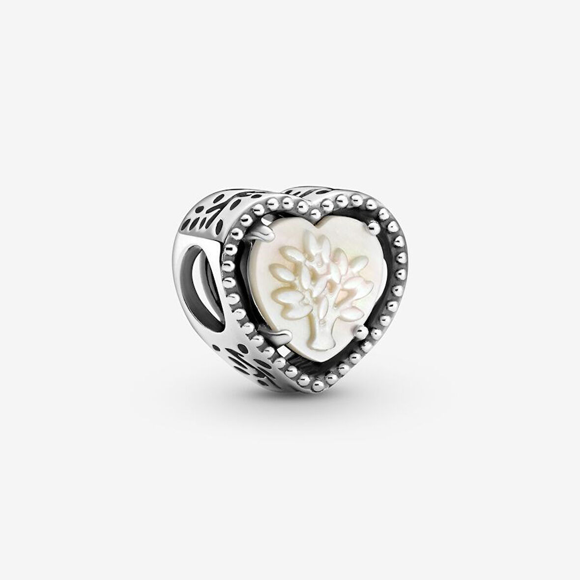 Pandora Kalp ve Aile Ağacı Charm 799413C01