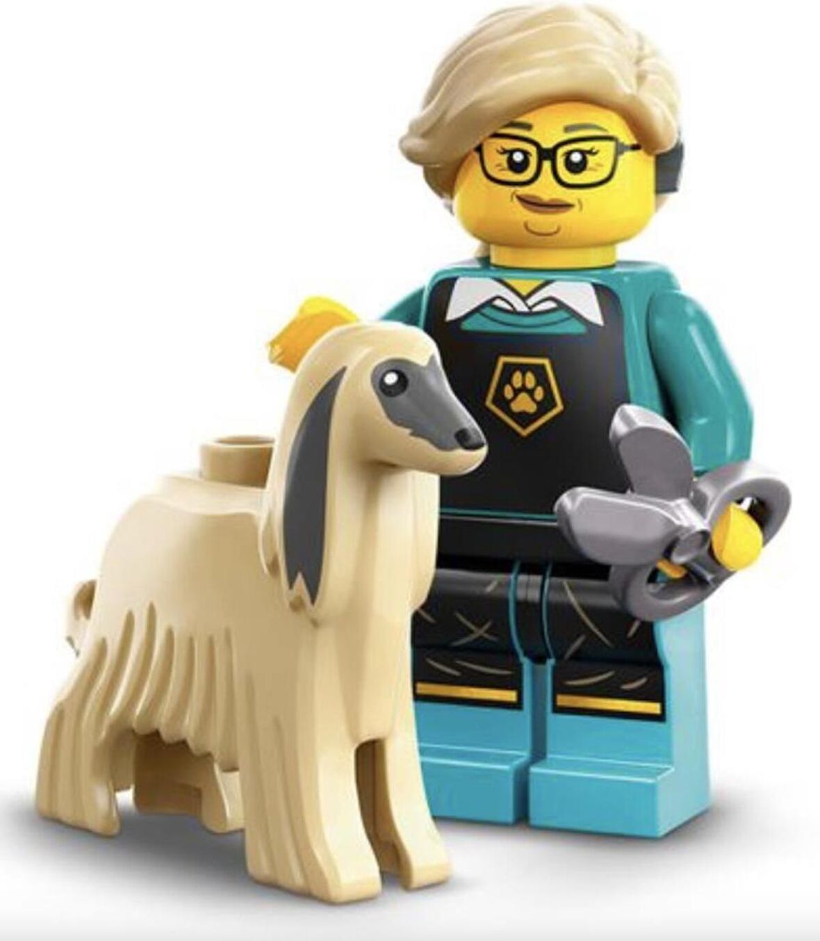 LEGO Minifigures 71045 Series 25 : 12.Pet Groomer