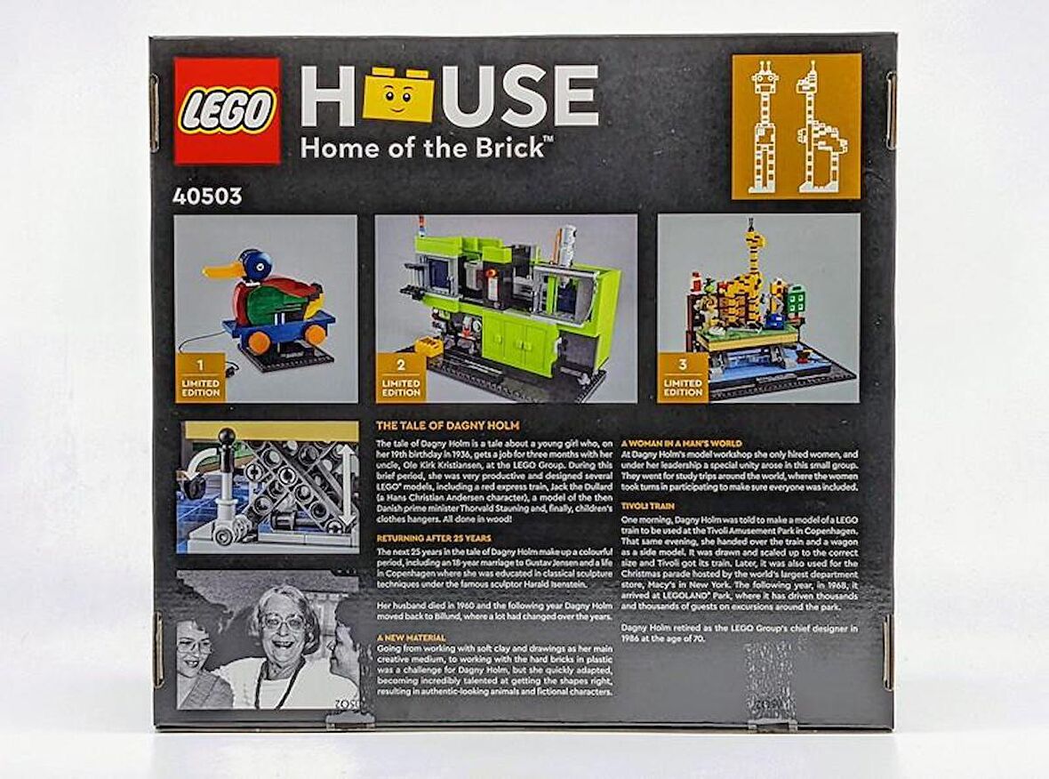 LEGO House 40503 Dagny Holm - Master Builder
