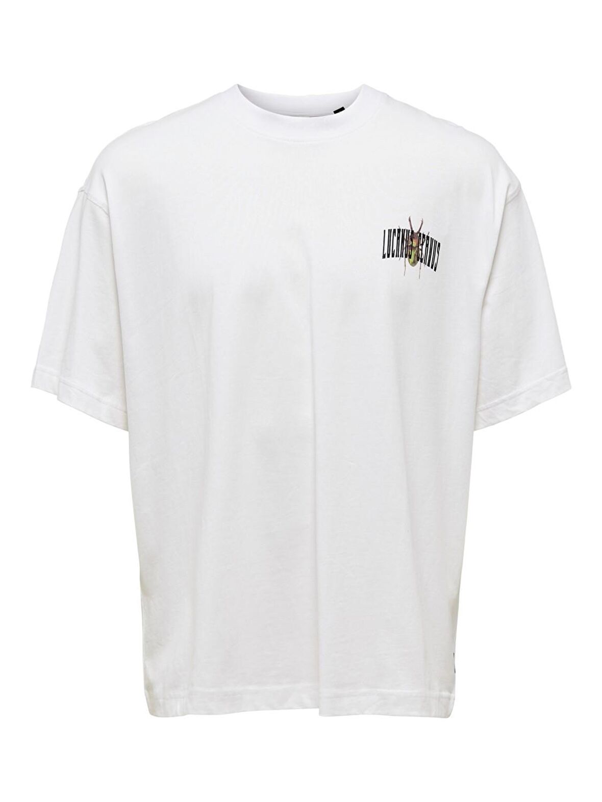 Only & Sons Açık Beyaz Erkek T-Shirt 22022638_ONSGARTH OVZ BEETLE SS TEE