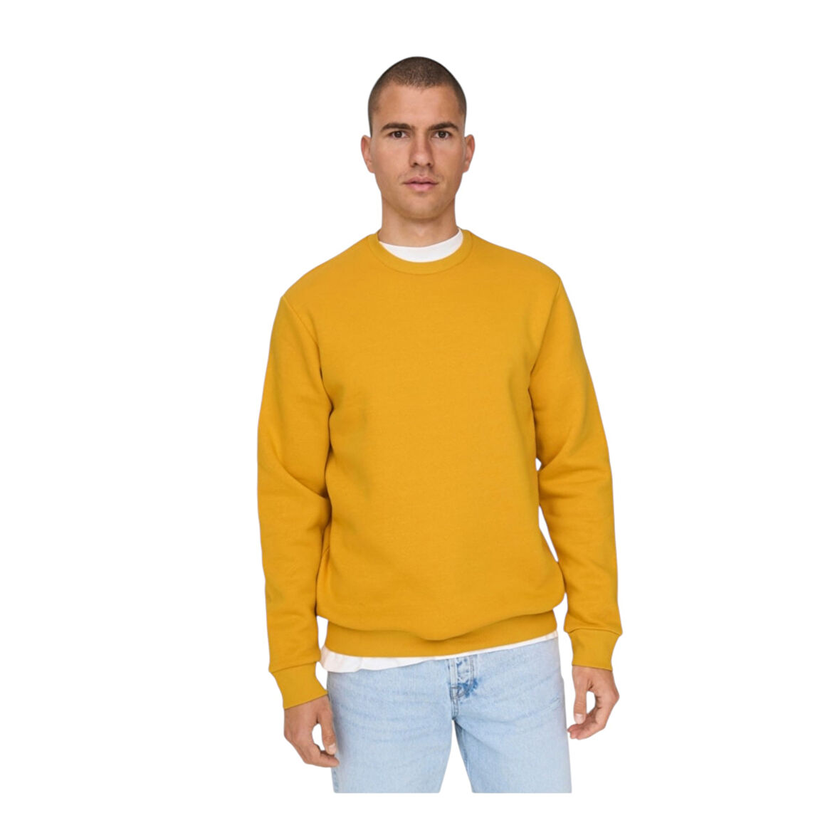 Erkek Sweatshirt 22018683