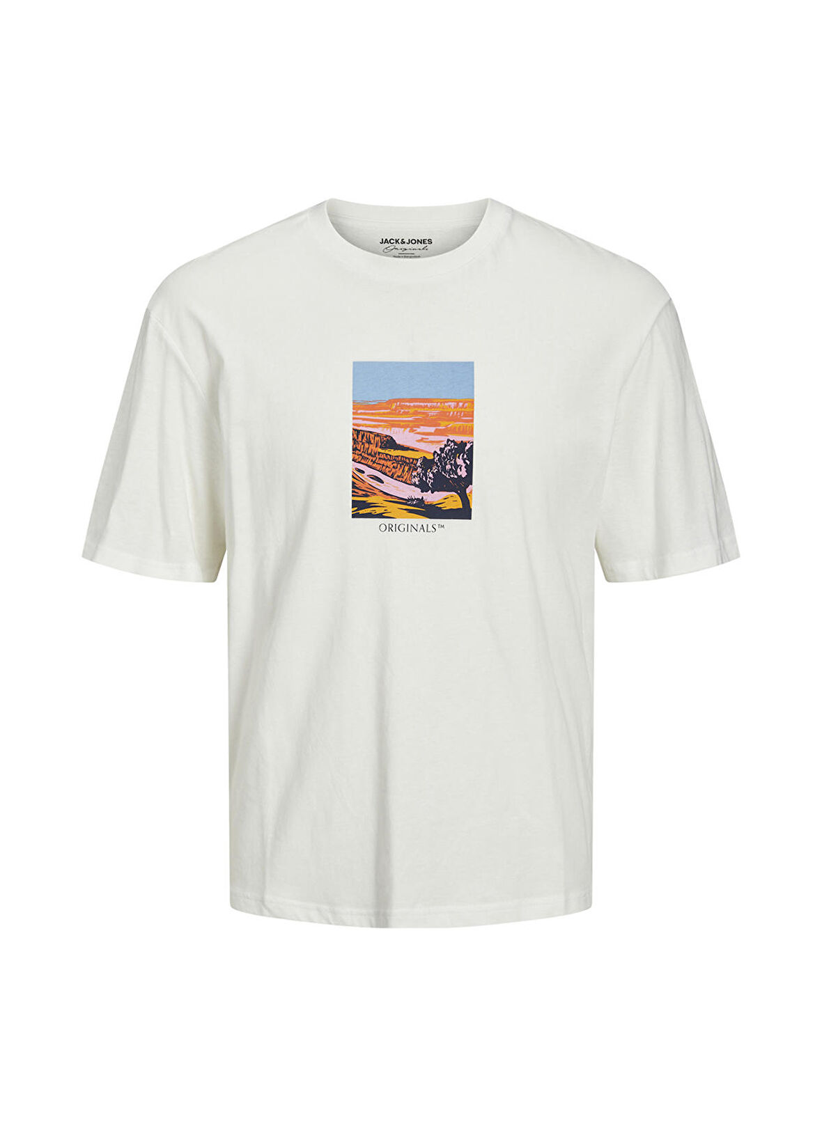 Jack & Jones Bisiklet Yaka Baskılı Krem Erkek T-Shirt 12230734_JORVALLEY SS TEE CREW NECK