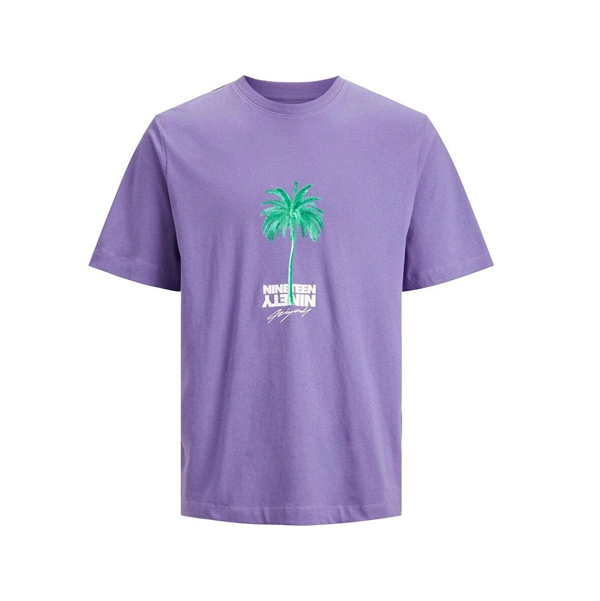 Jack&Jones Jorwavepop Erkek T-shirt