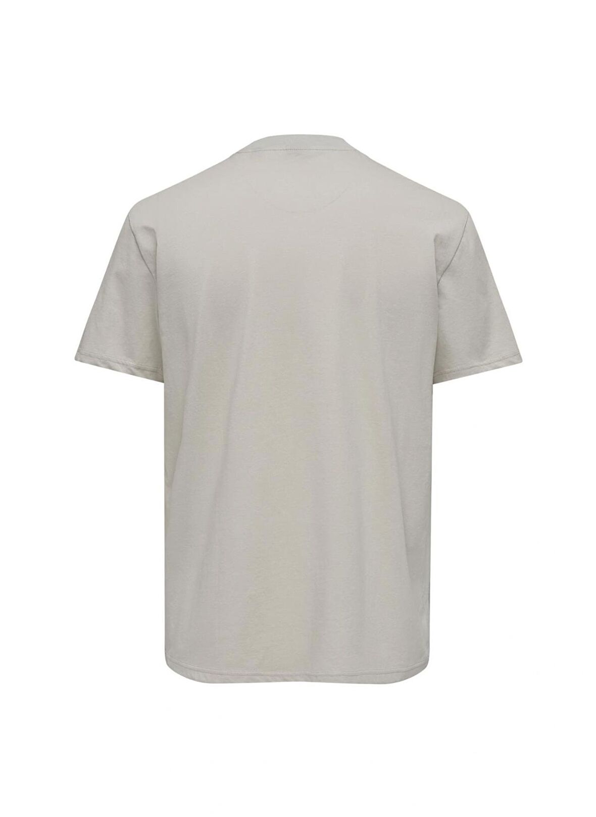 Only & Sons O Yaka Baskılı Taş Erkek T-Shirt ONSLEX LIFE REG PHOTOPRINT SS TEE