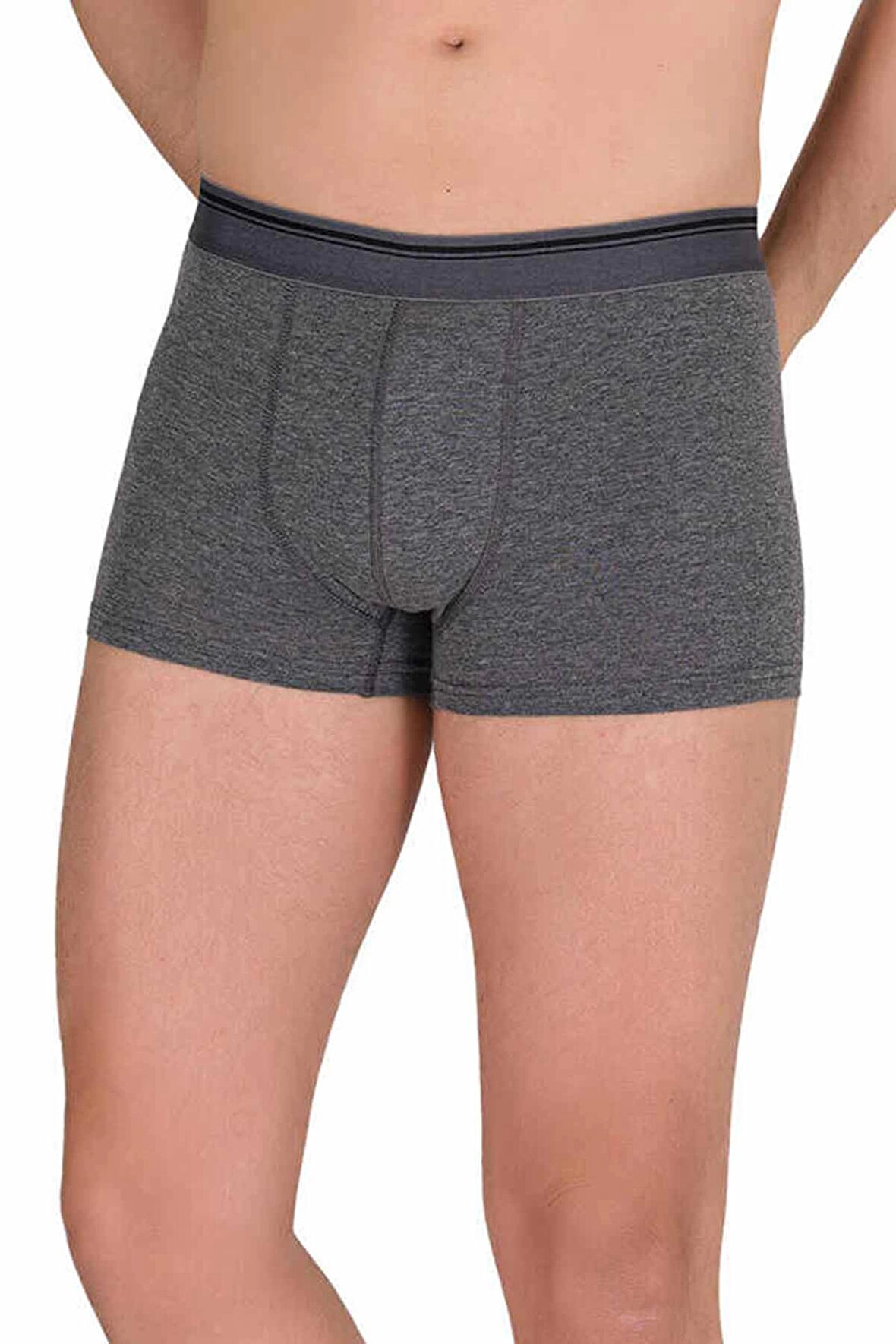 biçomi Likralı Erkek Boxer Şort Füme 1097B