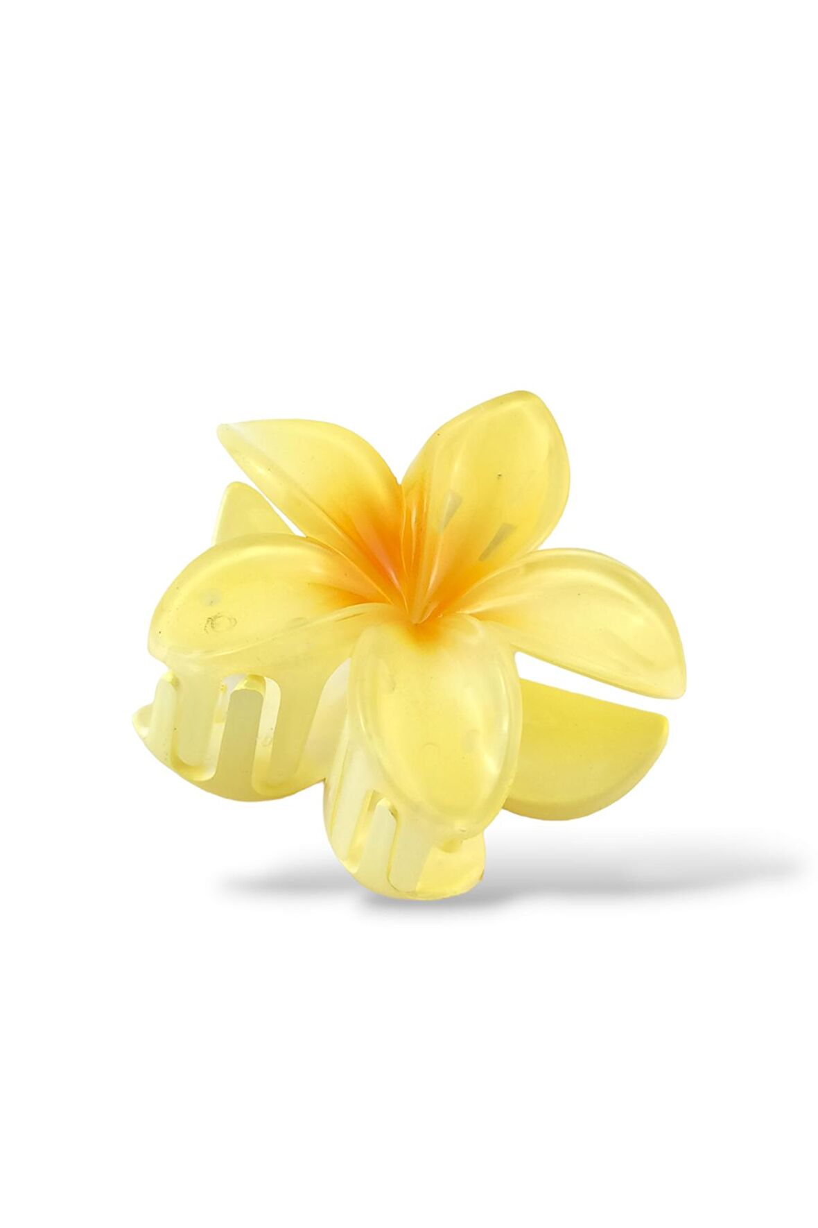 Hibiscus Lüks Asetat Mandal Toka TrToka9945