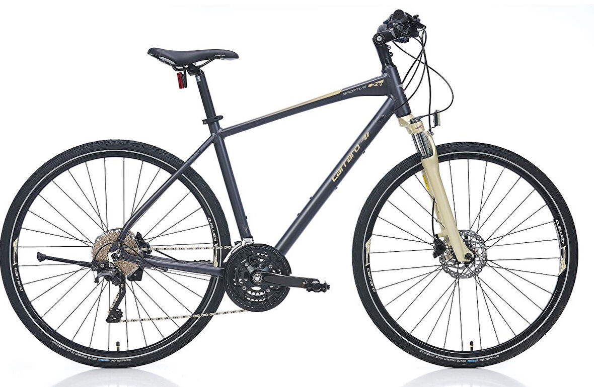 Carraro Sportive 230 HD 28' Jant 30 Vites 56 cm Erkek Şehir Bisikleti Mat Koyu Gri Bronz
