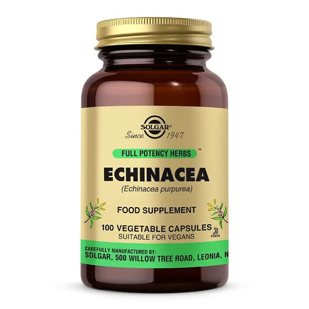Solgar Echinacea 100 Kapsül