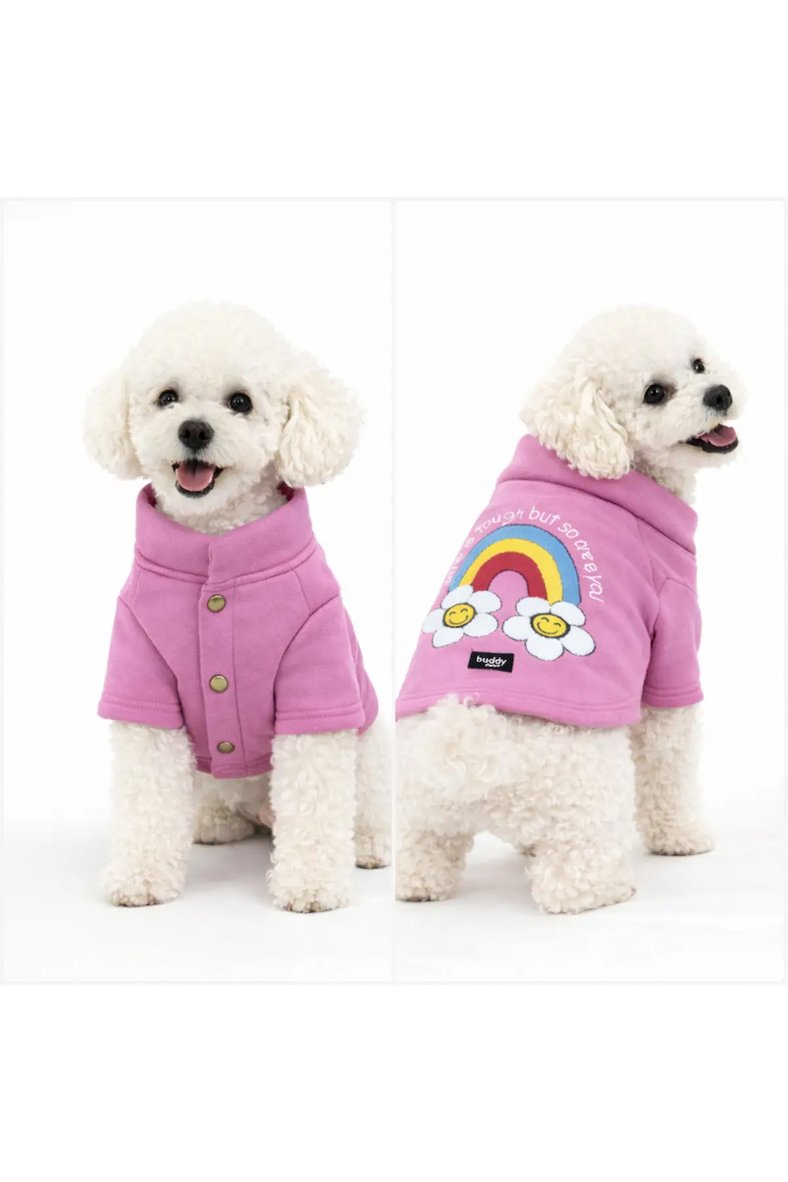 Rainbow nakış işlemeli gökkuşağı papatya pembe köpek kıyafeti - polar