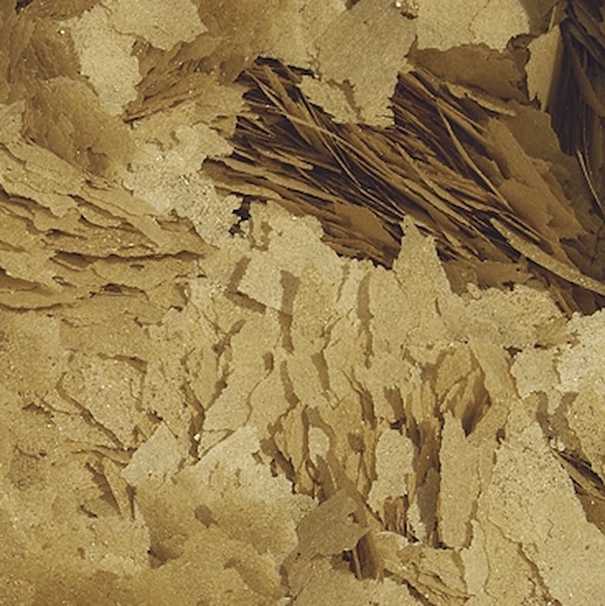 Tropical Breeder Mix 500 Gram Kovadan Bölme