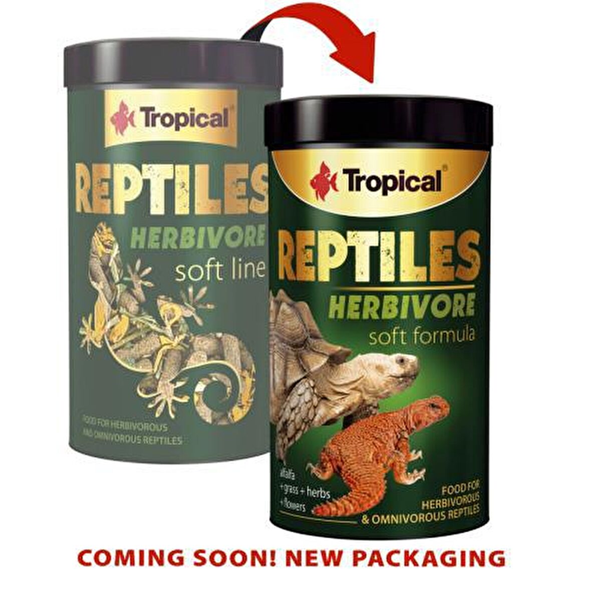 Tropical Reptiles Herbivore Sürüngen Yemi 250Ml/65g