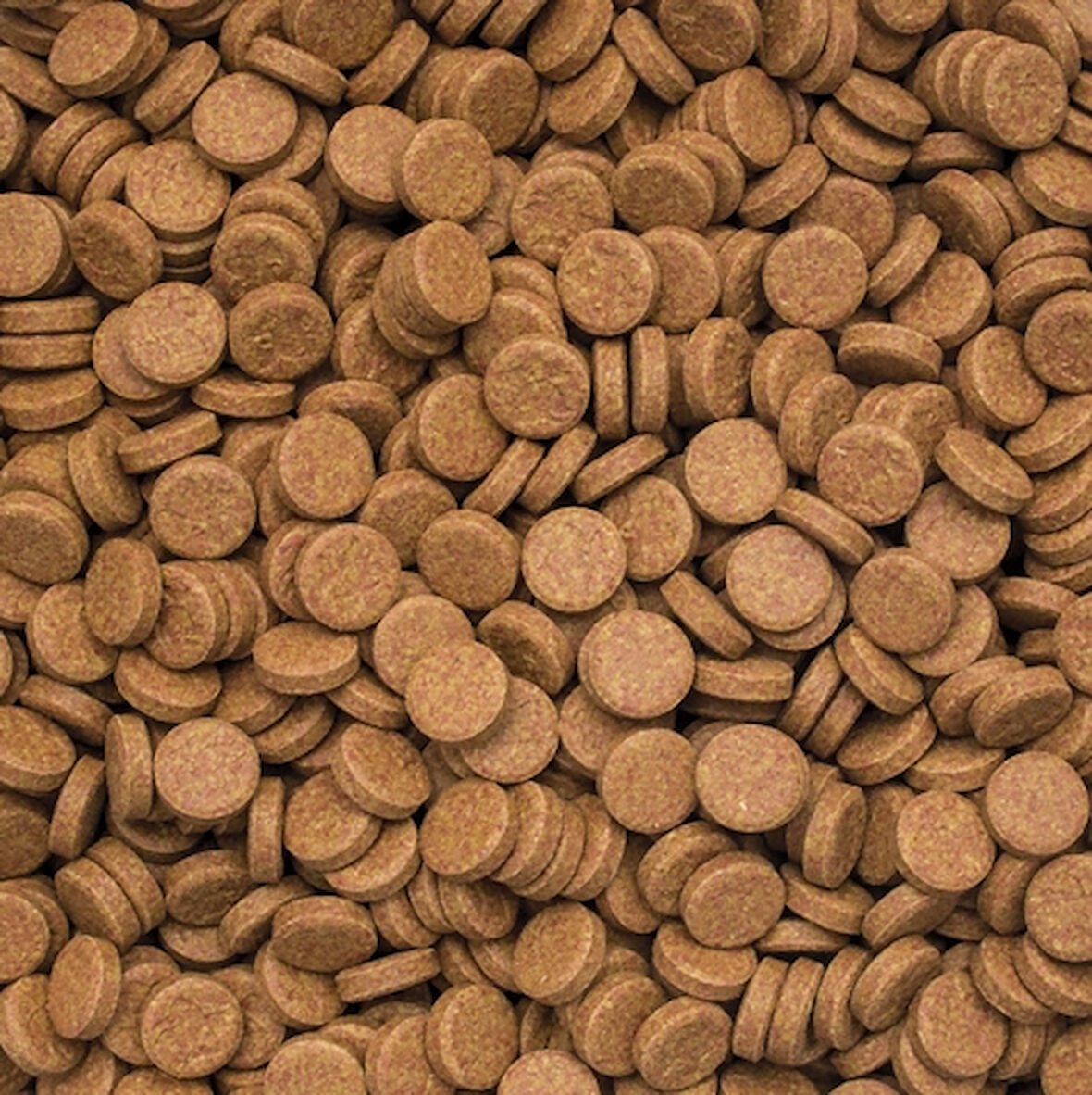 Tropical Vitality Color Tablets 1000 Adet Kovadan Bölme