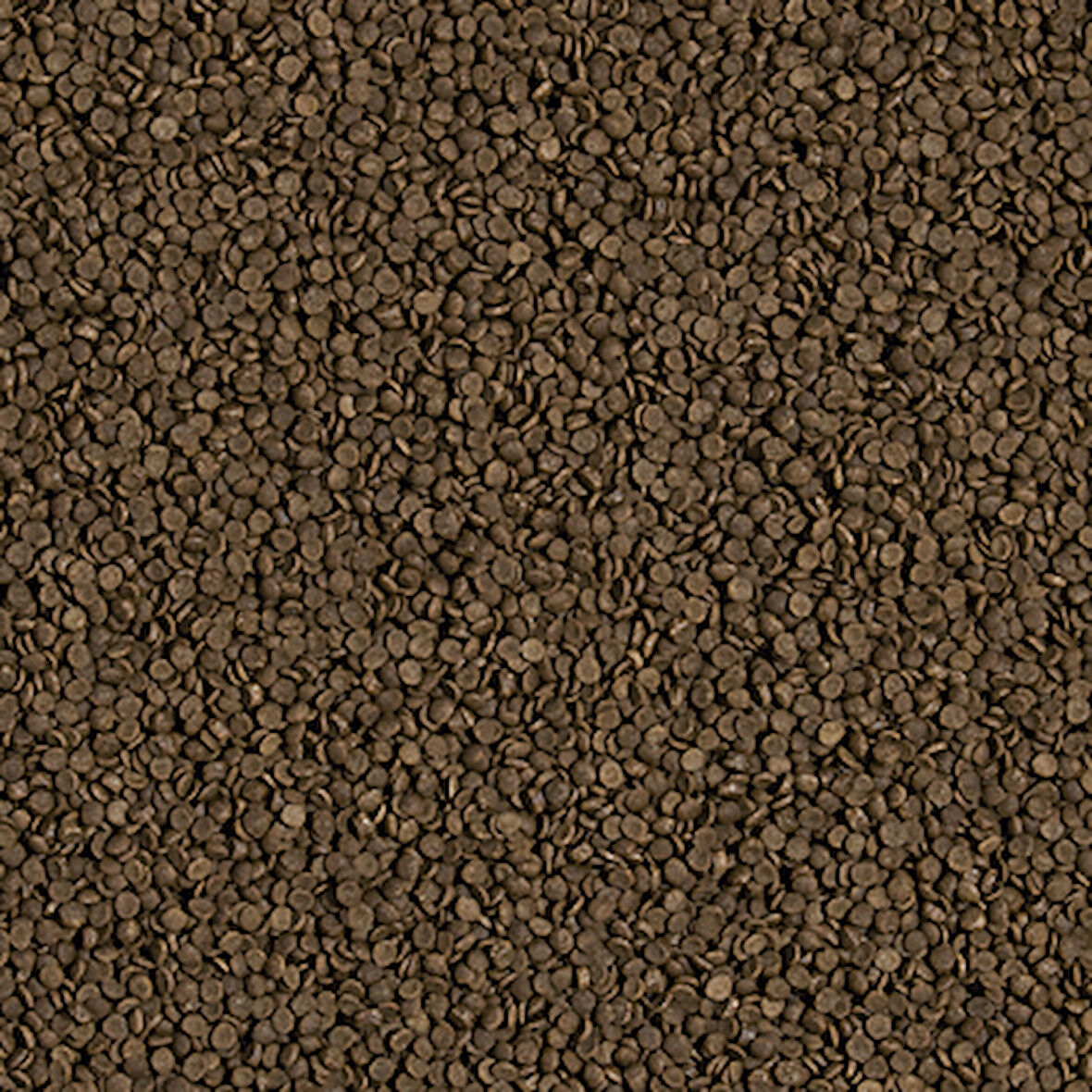 Tropical Welsi Gran 100 Gram Balık Yemi