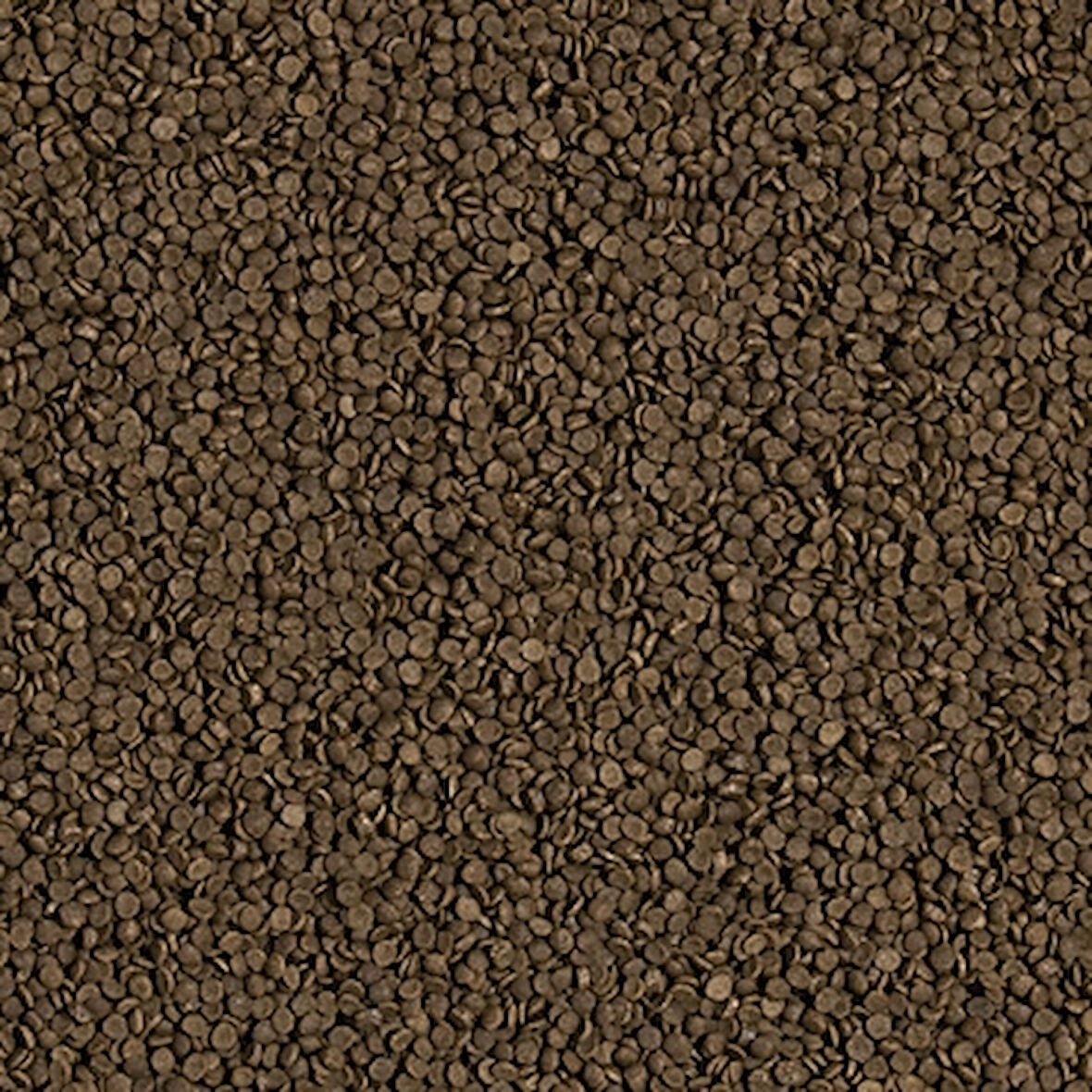 Tropical Welsi Gran 1000 Gram Kovadan Bölme