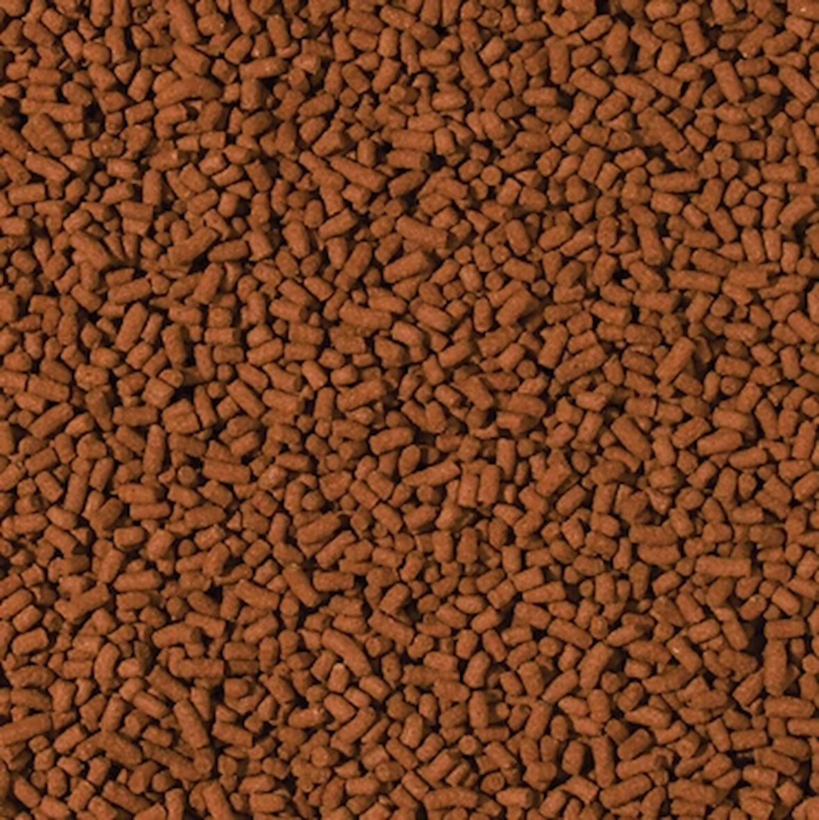 Tropical Shrimp Sticks 1000 Gram Kovadan Bölme