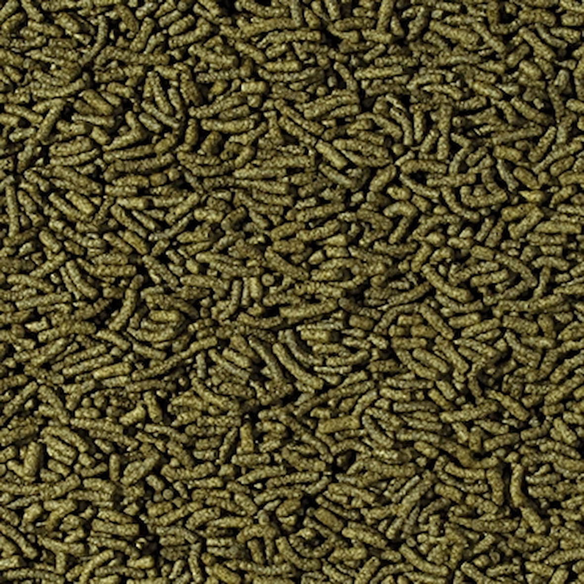 Tropical Cichlid Spirulina Medium Sticks 250 Gr Açık