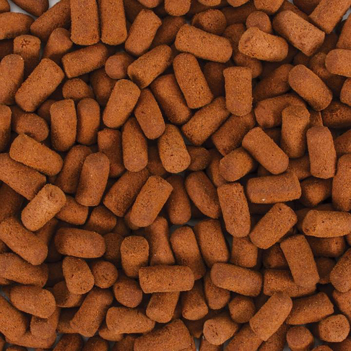 Tropical Soft Line Monster Fish 50 Gram Balık Yemi