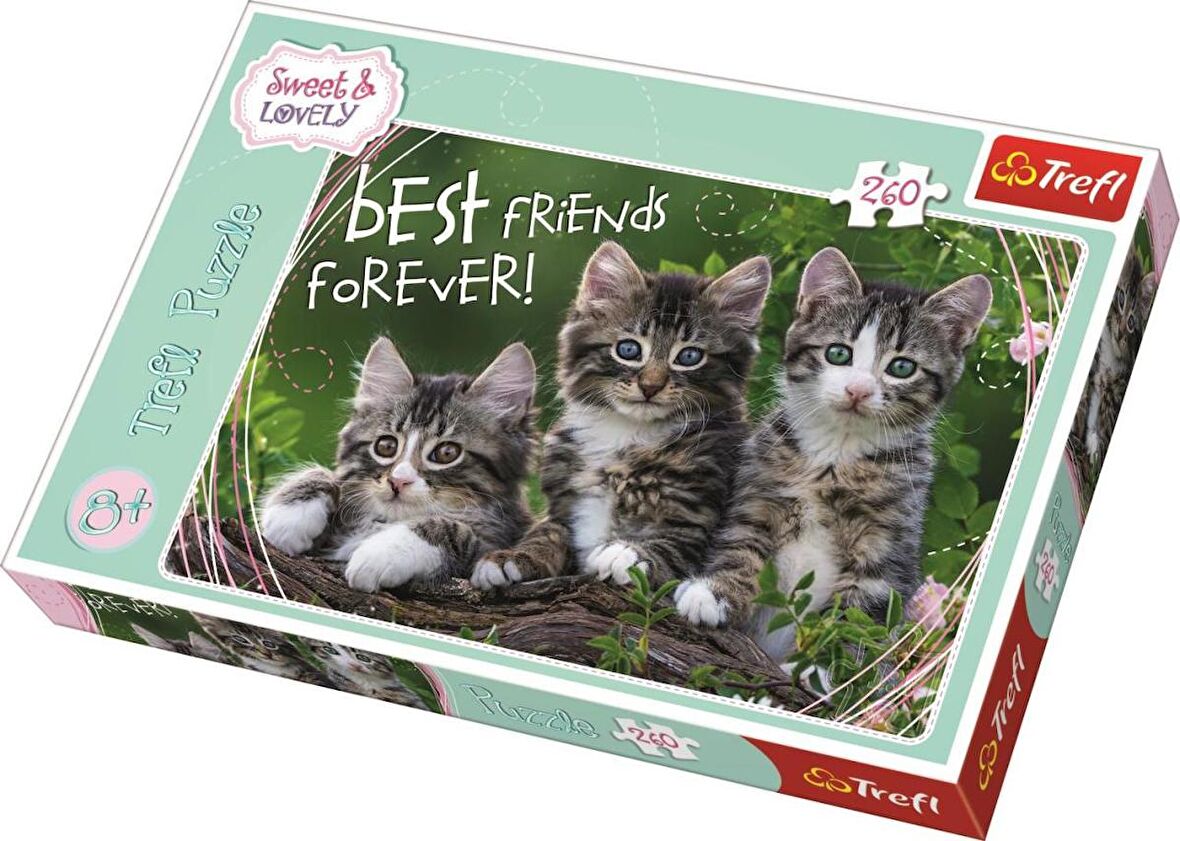 Trefl Kitty Pals 11+ Yaş Orta Boy Puzzle 260 Parça